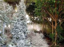 NEIGE ARTIFICIELLE PARIS PYROFOLIES